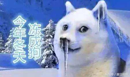 生产仅需5步，清洗却要7步！穿了这么多年UGG，你真的了解吗？