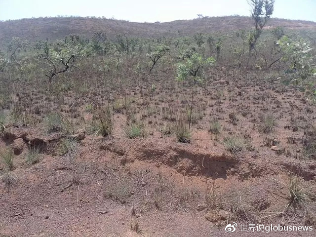 拯救世界的刚果湿地，能否拯救当地人的生活？