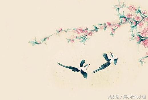 经典言情小说推荐双强,言情小说推荐古言清穿