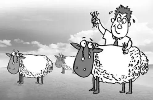 薅羊毛｜0.2元撸腾讯视频会员，39万用户成功薅走5000万羊毛