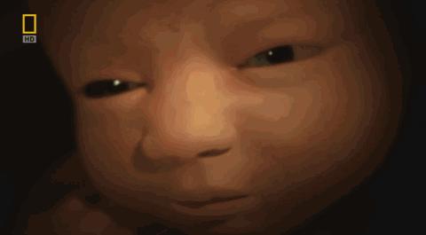 卵子和精子相遇……怎么就变成小孩了？