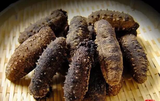 你知道世界上的鱼类有多少个,你知道的海底世界有多少种鱼