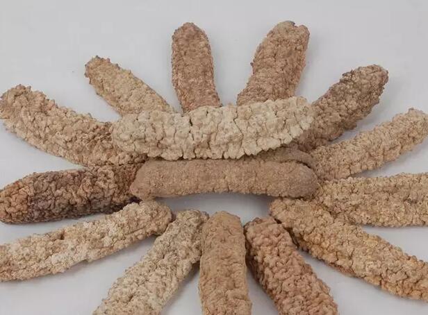 海参有上千种都是一样的吗,全世界海参有多少品种