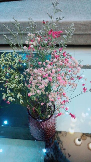 特别的爱给特别的你——喵喵Gloria