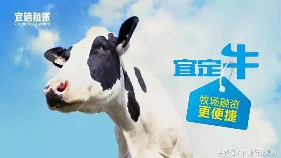 专访｜宜信融资租赁毛芳竹：我们与农户、经销商是“三兄弟”关系