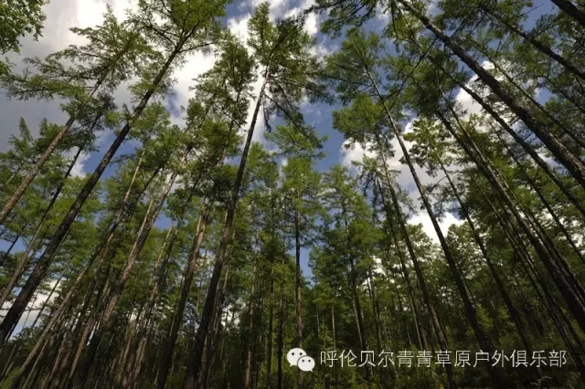 呼伦贝尔旅游自由行攻略,第一次呼伦贝尔自由行