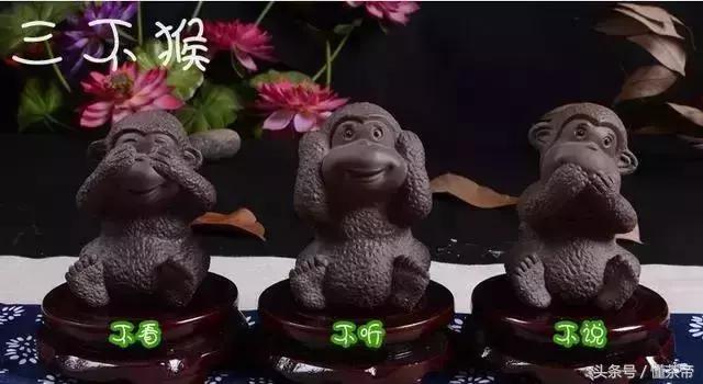 茶宠有哪些寓意摆放有什么讲究,家里养什么茶宠的寓意最好