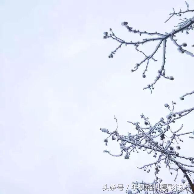 这就是所谓“别人家拍的雪景”：佳作推荐第46期