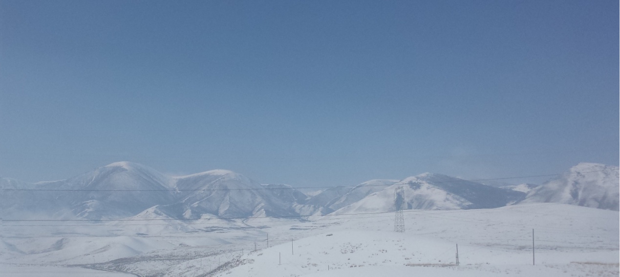 买手日记,买手日记主要做什么工作