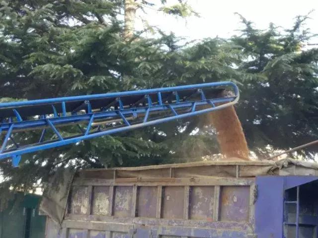 组图｜这样的执行现场你见过吗？