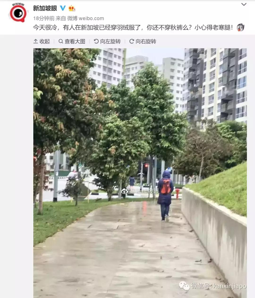 新加坡冬天热吗,新加坡严寒