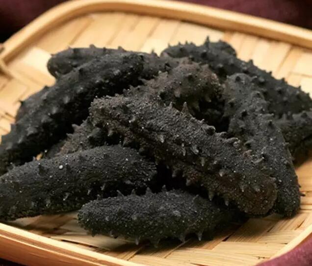 带您了解世界海参,你知道全球有多少种鲨鱼吗