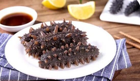 海参也有很多种,全世界所有可以吃的海参