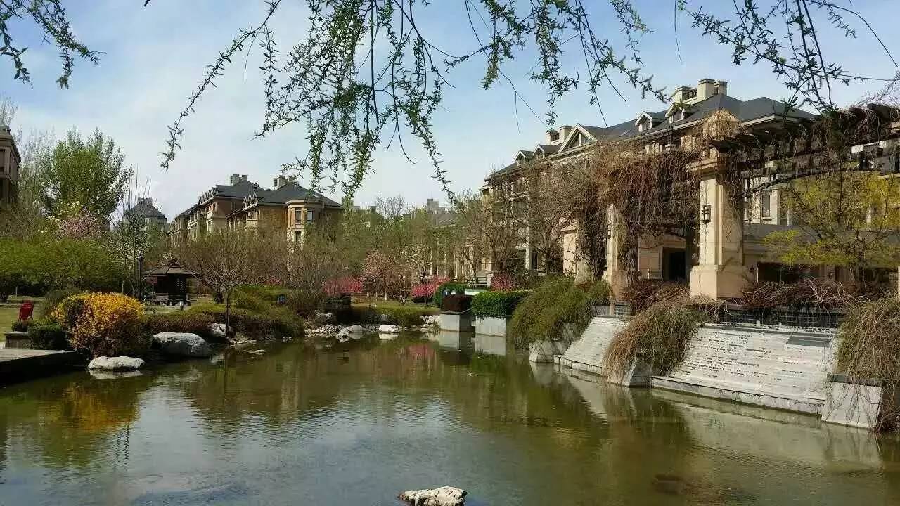 北京绿城高端楼盘,绿城2024最新楼盘