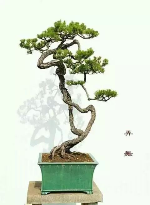 大师是怎么炼成的免费,真正的大师是怎么练成的