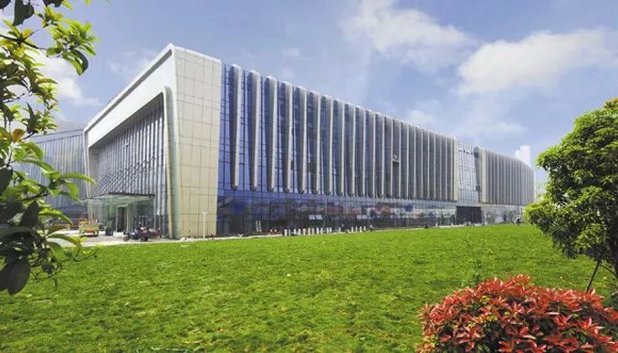 好天气不出门晒太阳,大好的天气不出门