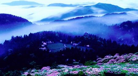 2019年医疗行业热点事件排行榜,2020年医疗热点事件汇总