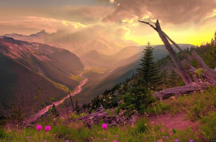 与上司说话不紧张的技巧,和领导说话紧张怎么克服