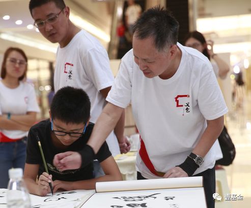 壹基金主要成就,壹基金的基本情况