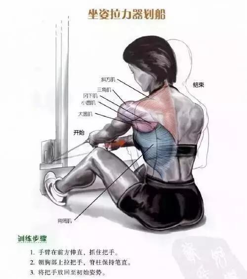 把背部肌肉全部练到的练背动作,最好的背肌训练动作