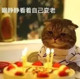 10大好用的眼霜,esteelauder雅诗兰黛眼霜15ml