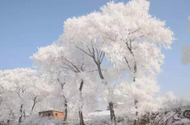 春节去哪里玩最热,春节去哪儿度假最暖和