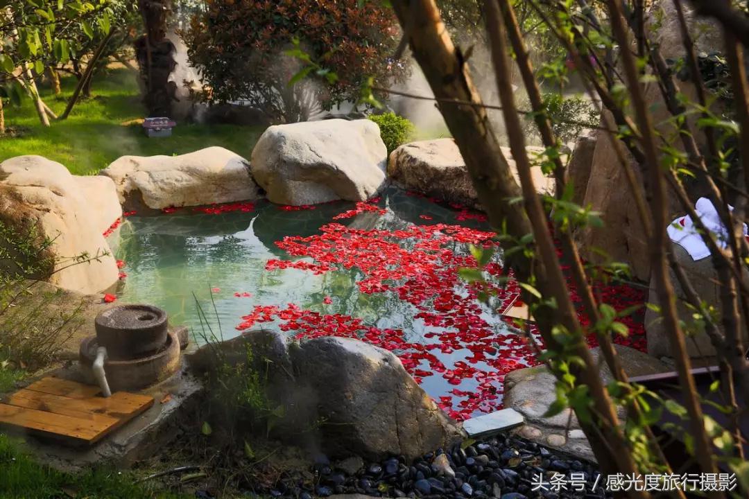 西塘民宿一日游攻略,春节西塘古镇一日游攻略