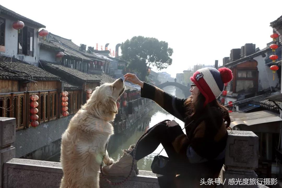 西塘民宿一日游攻略,春节西塘古镇一日游攻略