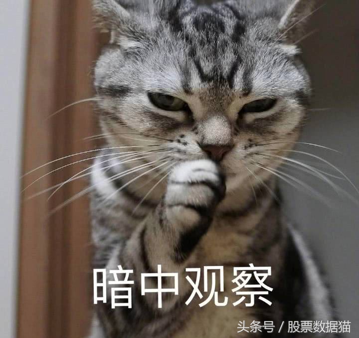 比追高风险小，比潜伏来得快！震荡行情，最好抄底！送抄底目标股