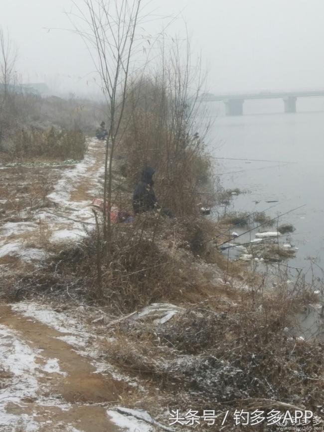 钓鱼新手如何做到钓鱼大师,一个合格钓鱼人应该具备的知识