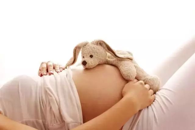 明天起，郑州这些东西统统免费！不知道你就亏大了！