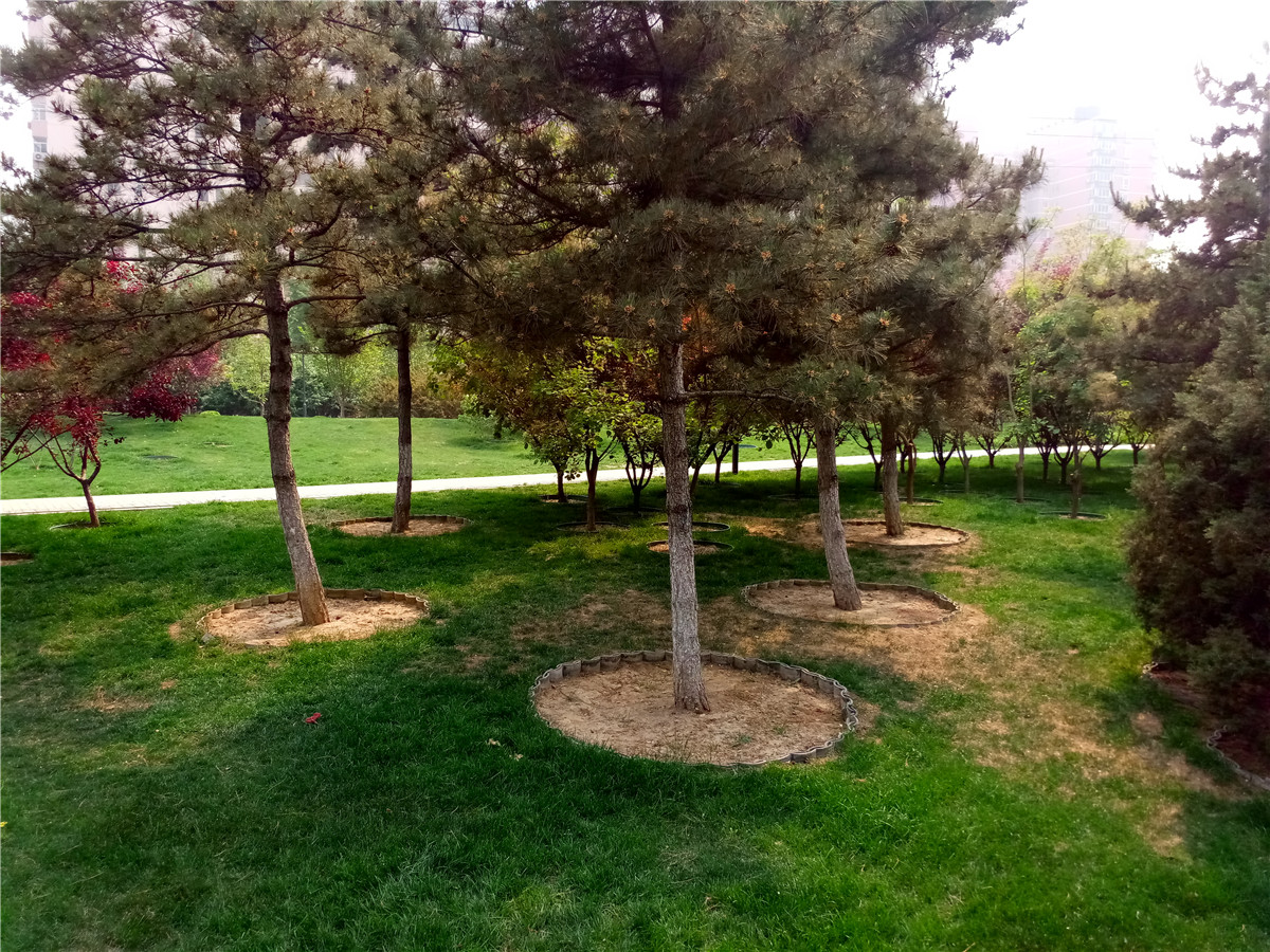 金立w2017翻盖手机价格,金立翻盖手机与三星哪个好