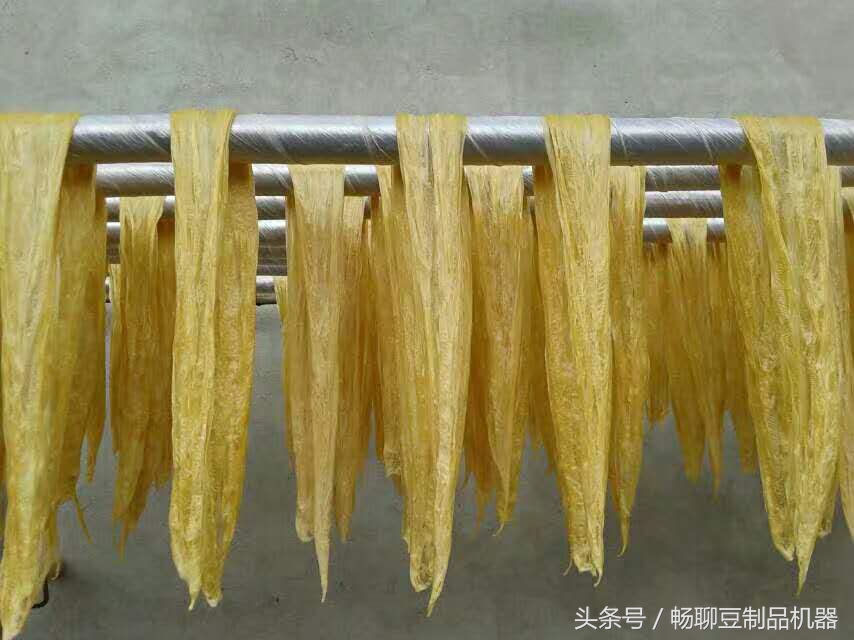 腐竹制作厂机器怎么操作,全自动腐竹制作机器设备