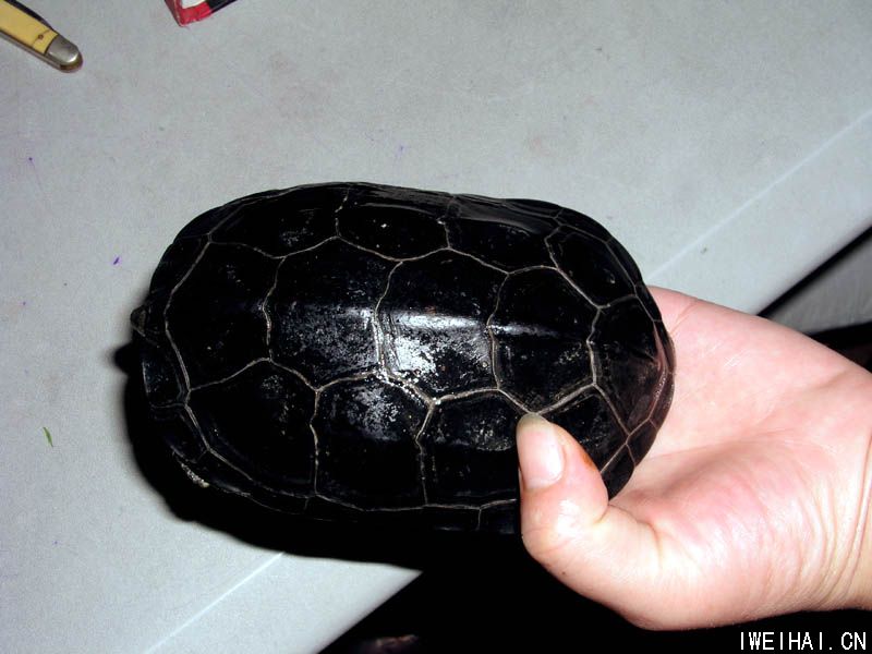 每天有三小时空闲时间做什么兼职,下班后兼职做什么赚钱