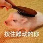 上海最省钱旅游攻略,旅游省钱从上海出发