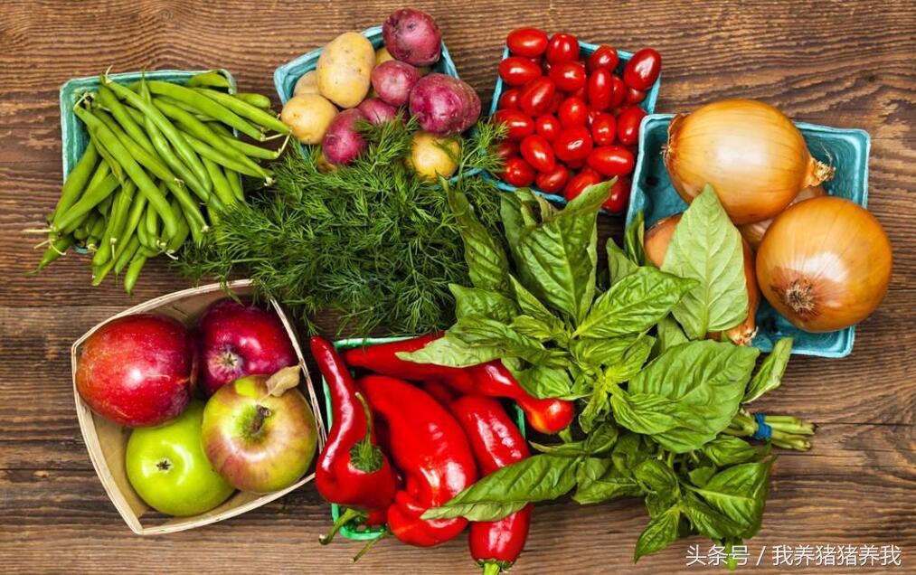 2019年可以申报的农业项目,2018下半年农业项目申报