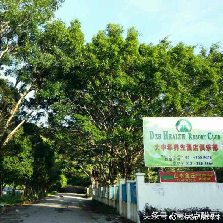 释行武少林禅武,少林武僧释行武