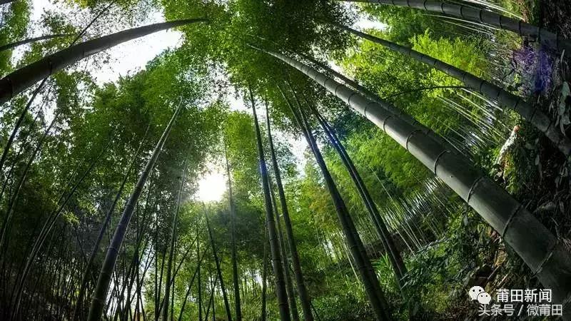 这是我的家乡闽南语,这是我的家乡全部视频