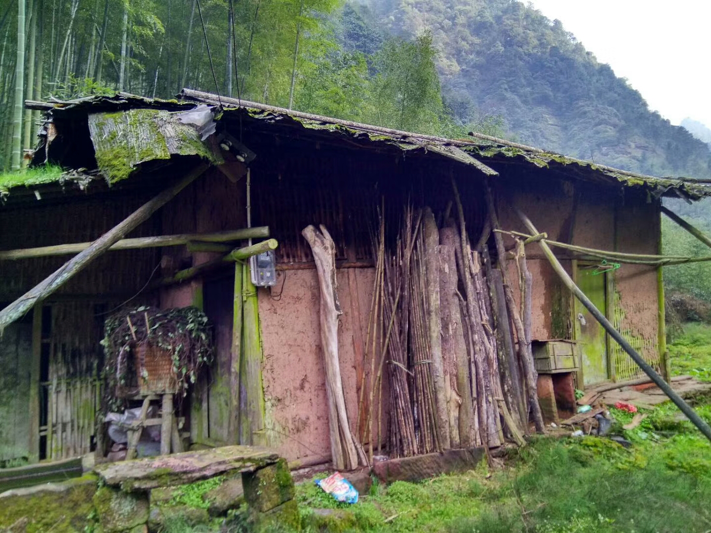 《旅游故事汇四》喜欢上了一位女导游，该怎么办？