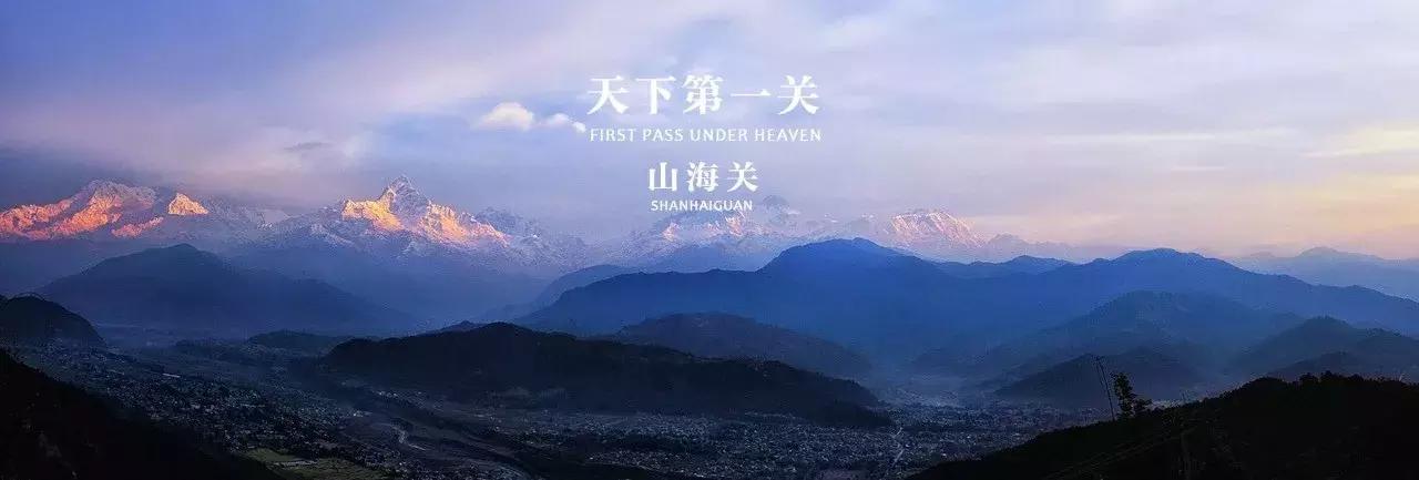 这种花！全国仅有，而且只在春节绽放，比烟花好看100倍！