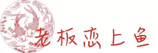 弘阳广场济南老板恋上鱼,济南老板恋上鱼价格