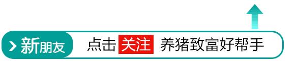 「1月17日全国生猪价格行情」下跌继续，但整体趋稳