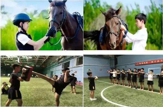 骑马闯天涯,骑马闯荡天涯