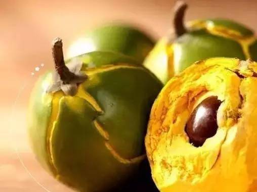 最奇葩的六种水果,你没吃过的十种奇葩水果