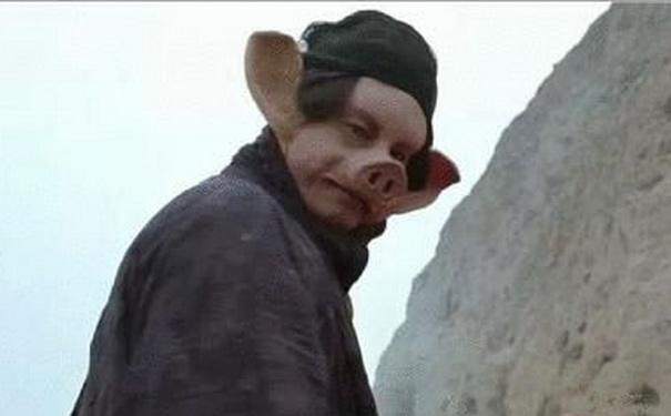 猪八戒为什么投进了猪胎,猪八戒的母猪的下场是什么