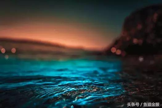 夫妻债务纠纷新政策,最新夫妻债务政策