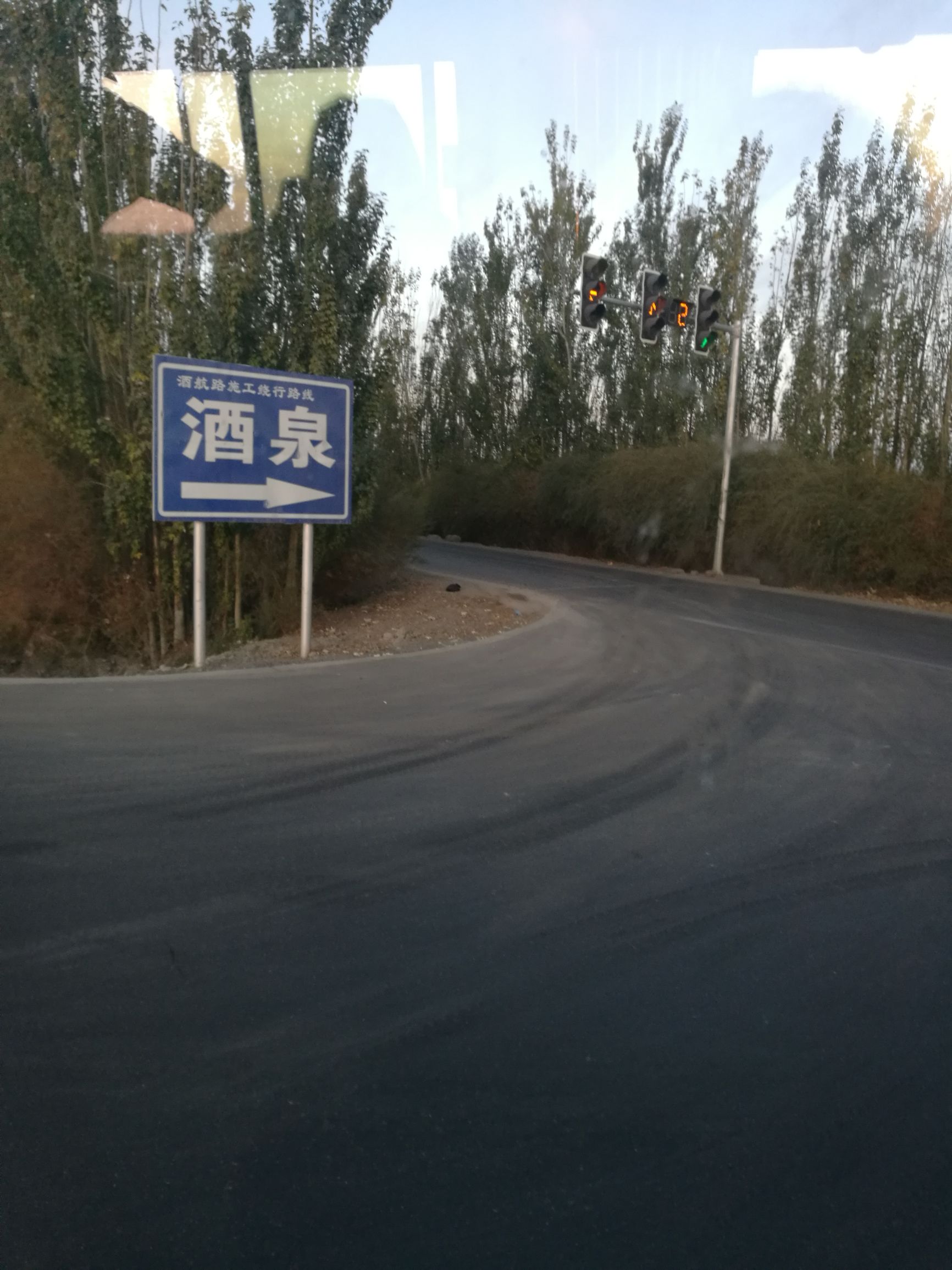 西北胡杨林旅游攻略,大西北环线胡杨林十日游