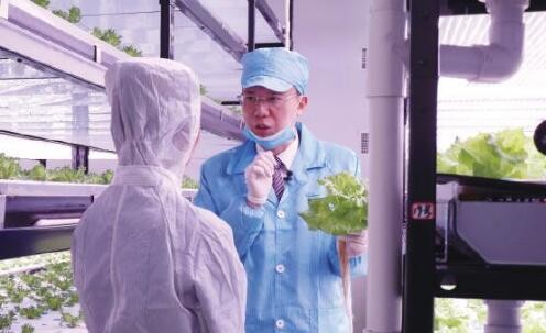 植物灯市场前景怎么样,植物照明市场占比