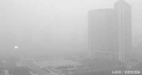 合肥天气昨天大雾情况,特强浓雾来袭全过程