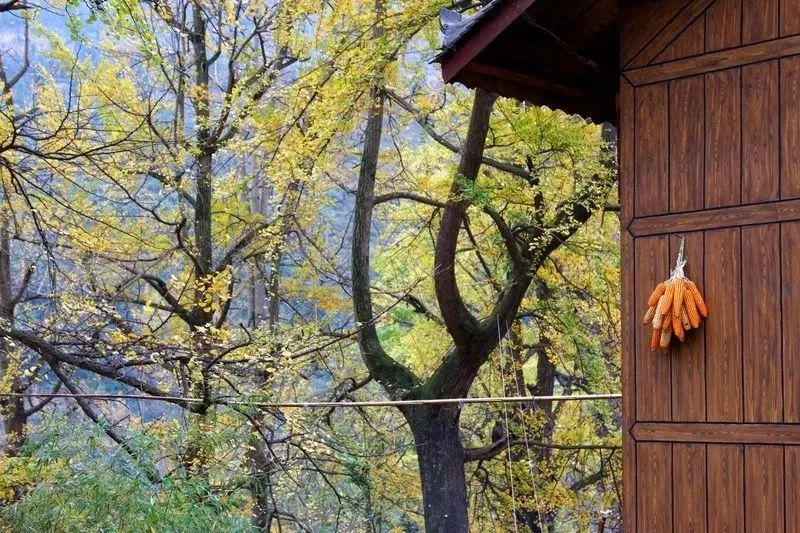 错过了这30个地方，你就相当于辜负了整个贵州！